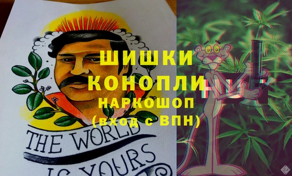 стафф Алексин