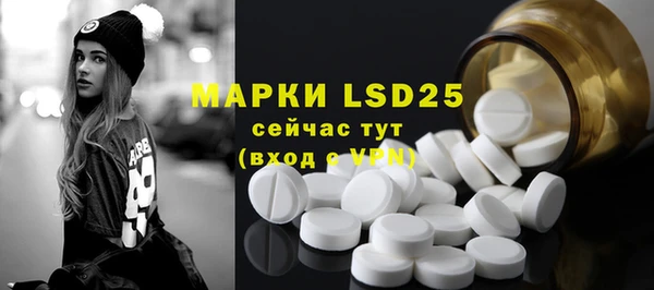 стафф Алексин