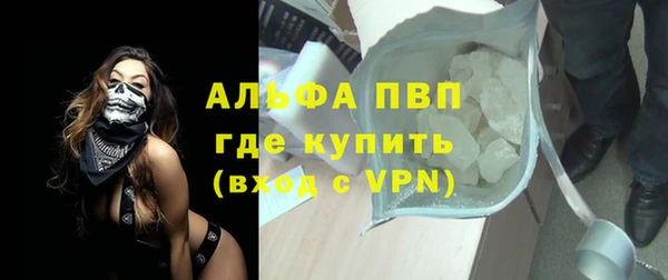 стафф Алексин