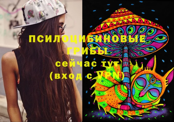 стафф Алексин