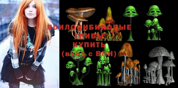 МДПВ Алексеевка