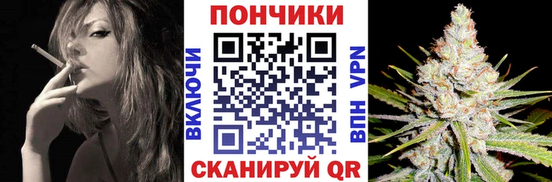Каннабис планчик Приморск